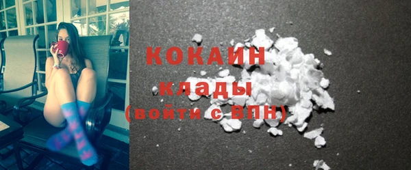 прущие грибы Богданович