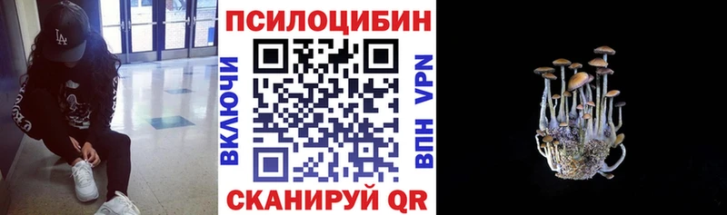 Галлюциногенные грибы мухоморы Луга